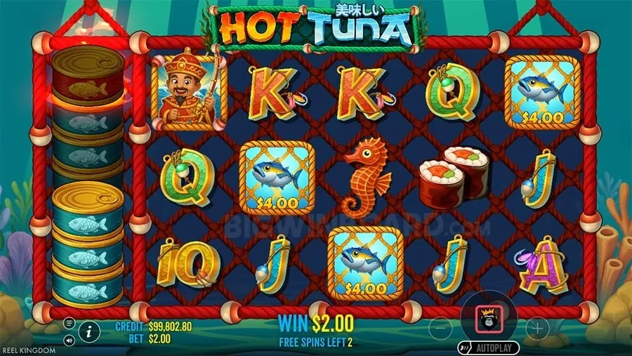 Welcome Bonus Offer